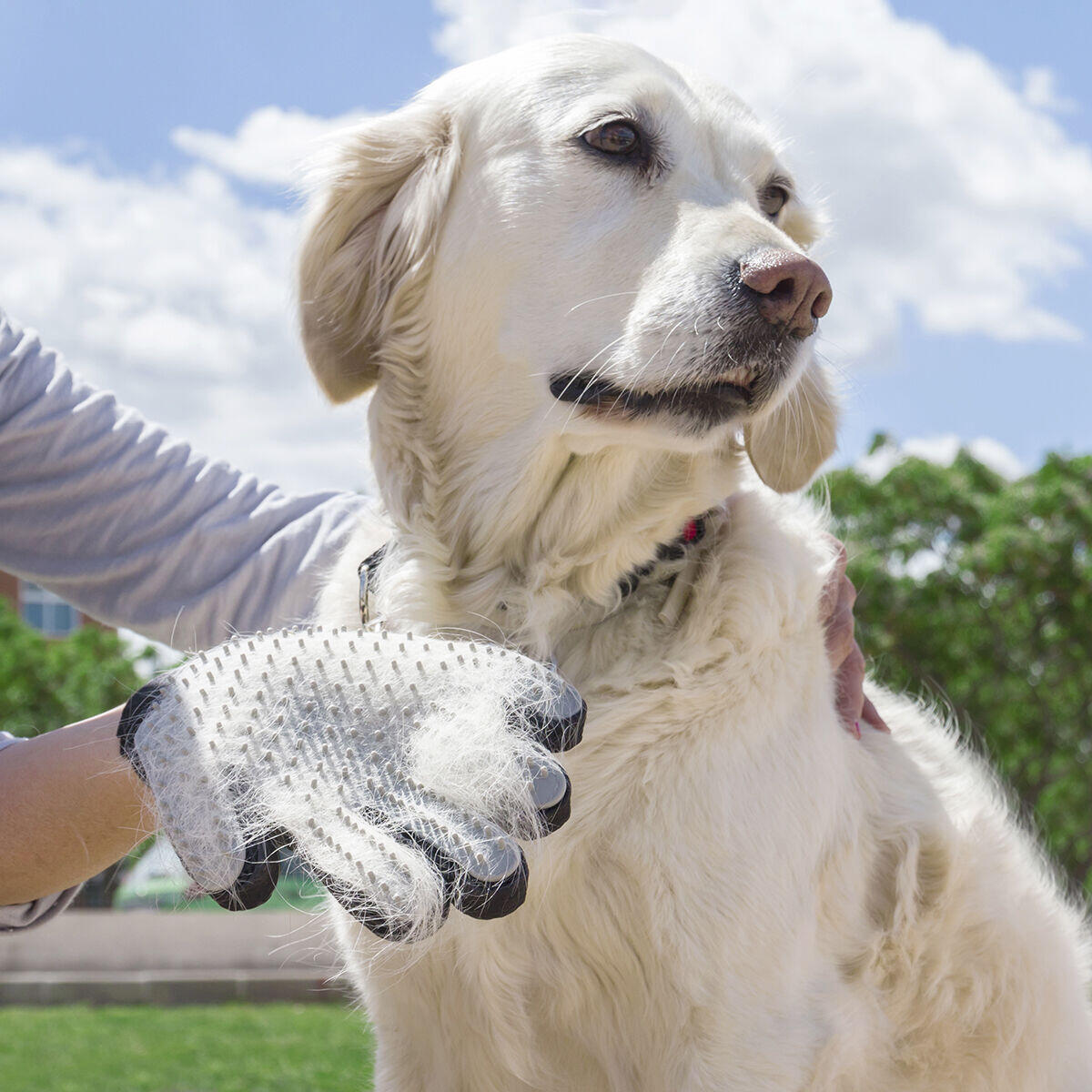 Relpet InnovaGoods - Mima a tu mascota mientras eliminas el pelo suelto sin esfuerzo.