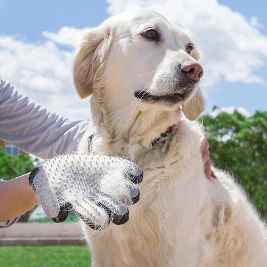 Relpet InnovaGoods - Mima a tu mascota mientras eliminas el pelo suelto sin esfuerzo.